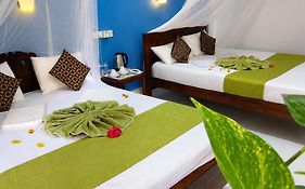 Sigiri Lion Lodge